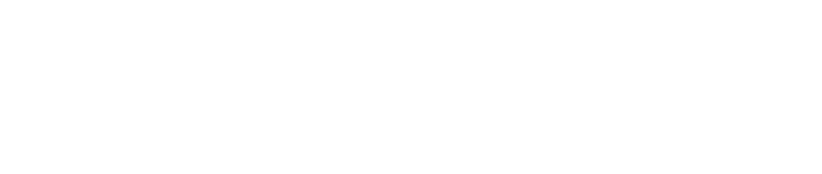 WeRise Union Technology Solutions