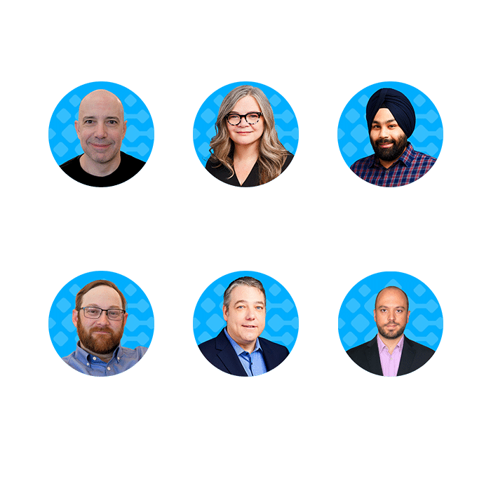 Regulatory Body Team Leads