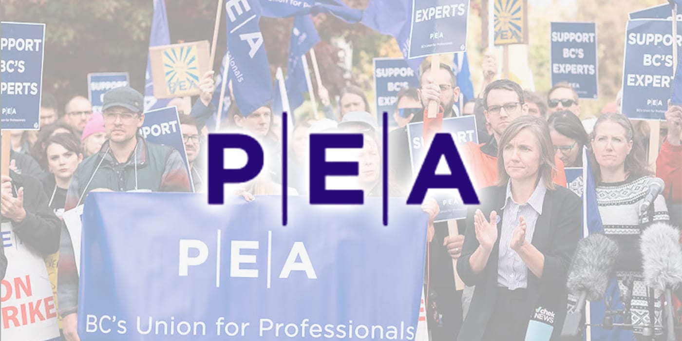 Case Study Format PEA Case Study